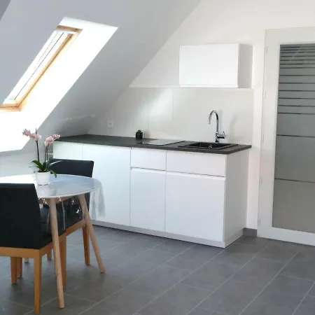 Sudio Aux Portes De Colmar Apartment *